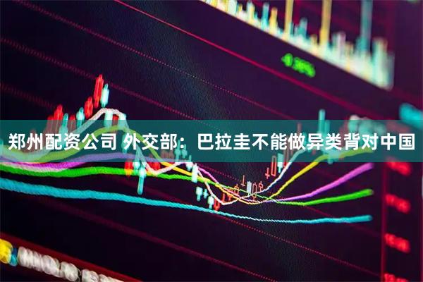 郑州配资公司 外交部：巴拉圭不能做异类背对中国